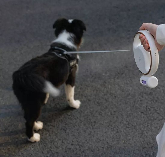 Honden-riem™ | De Slimme Oplossingen voor Elke Hondenliefhebber!