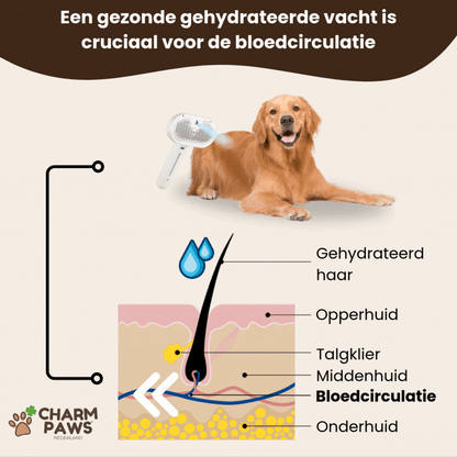 Sevelo® Steami Pro - Professionele Vachtverzorgings Borstel voor Huisdieren