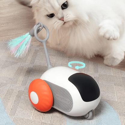 Snellekat™ | Breng de opwinding van de jacht naar je huiskamer.