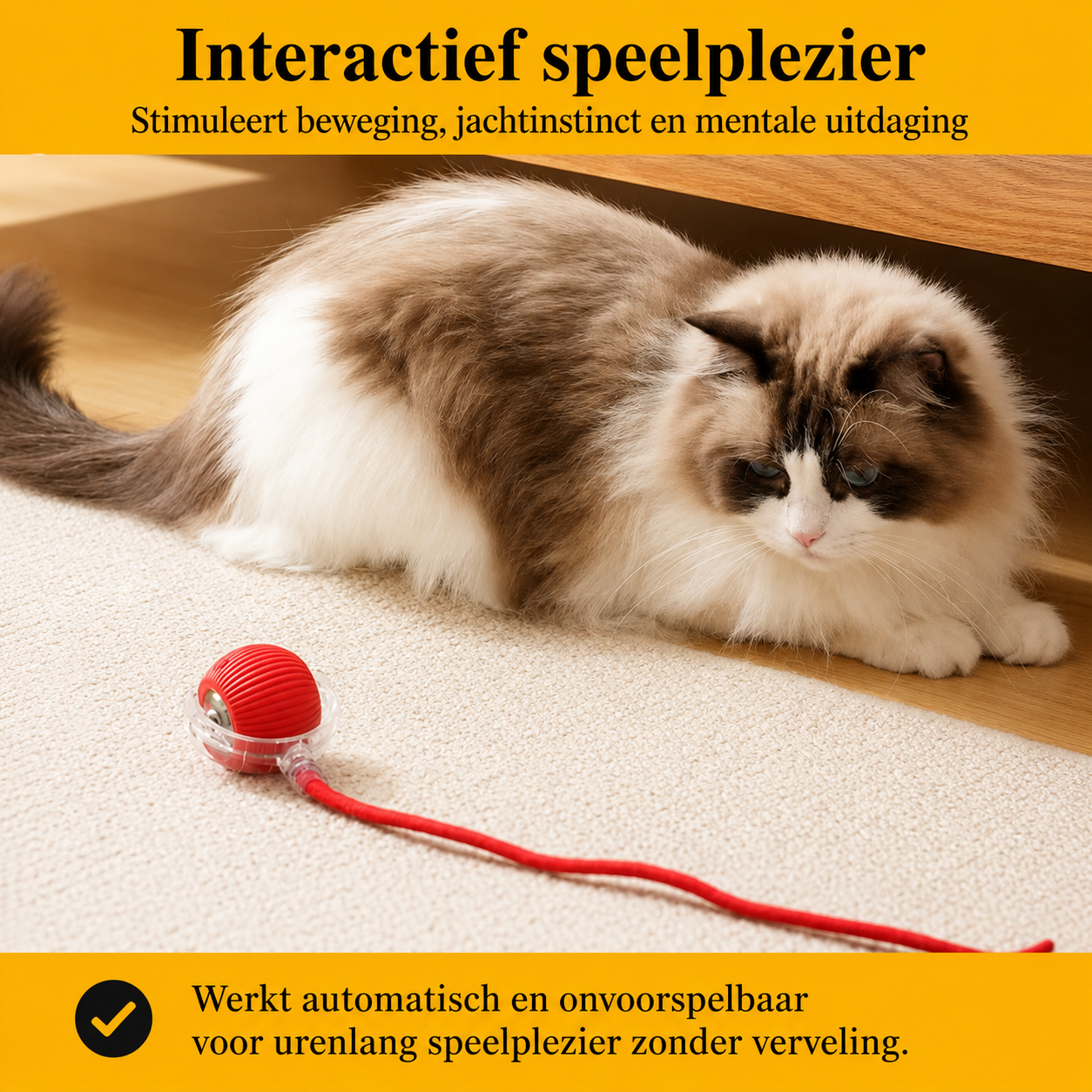 PurrPlay™Houd je kat actief bezig