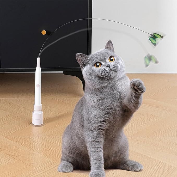 katvlieger™ | De Ultieme Jacht en Speel Stimulatie.