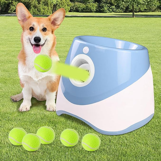 Balgooier™ | Waar Plezier en Ontwikkeling Samenkomen.