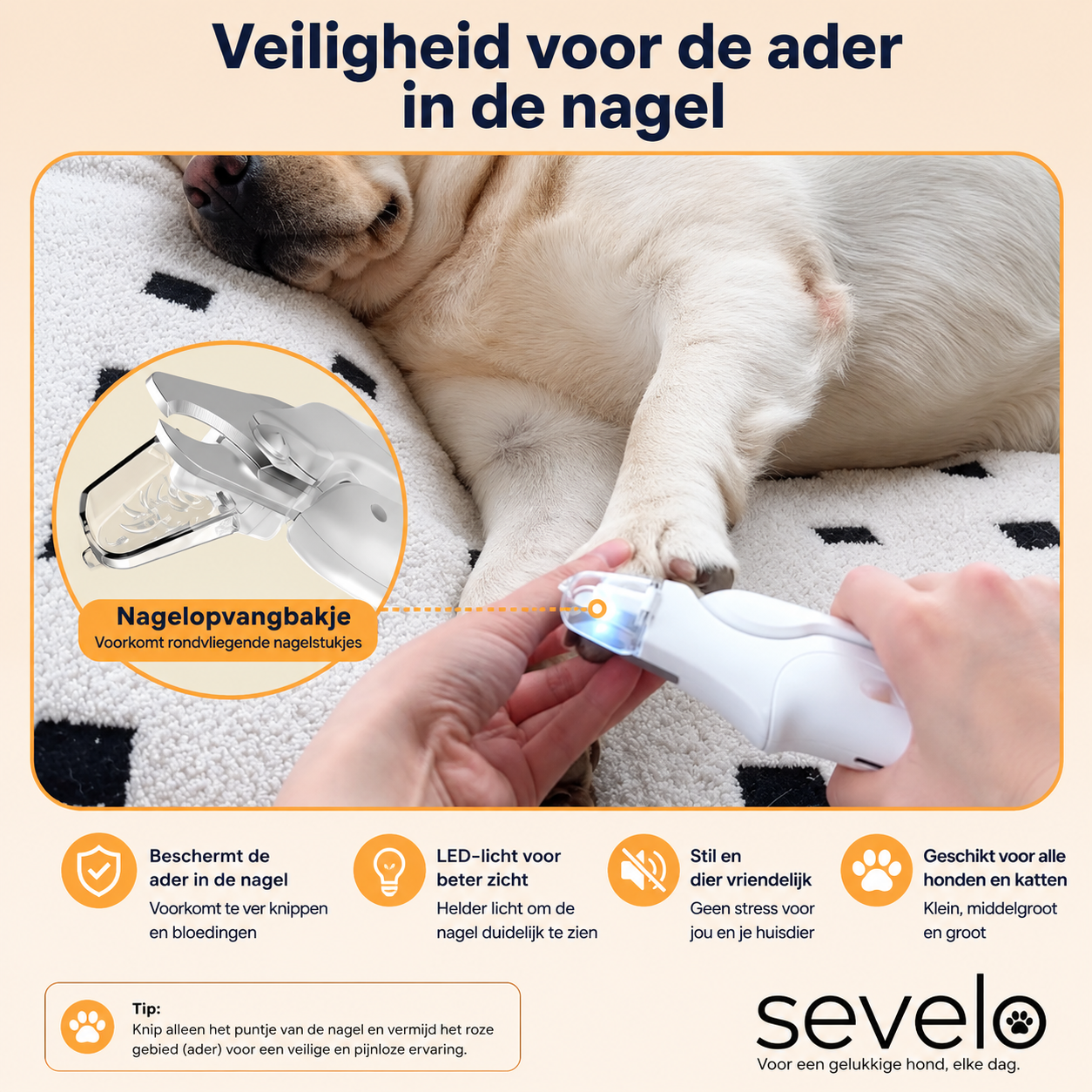 Sevelo™ Pro – De 2-in-1 LED-nagelschaar voor veilige pootverzorging zonder angst.