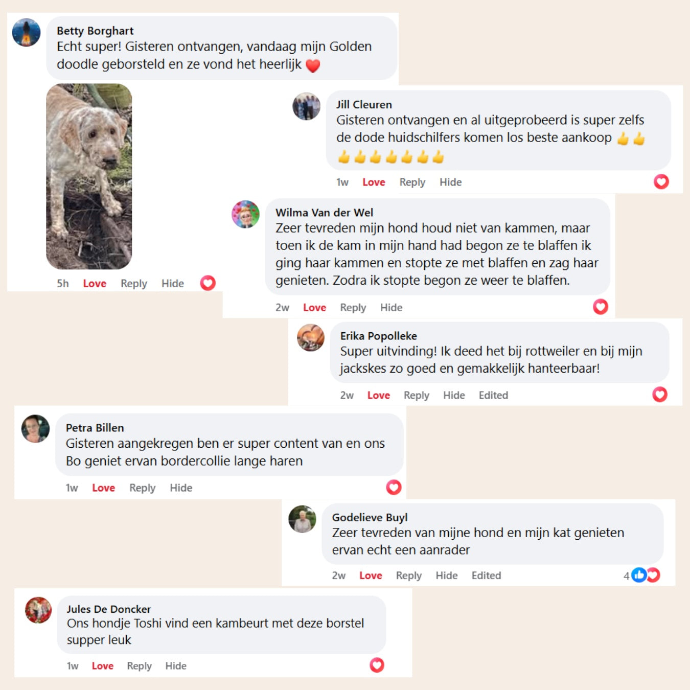 Sevelo® Steami Pro - Professionele Vachtverzorgings Borstel voor Huisdieren