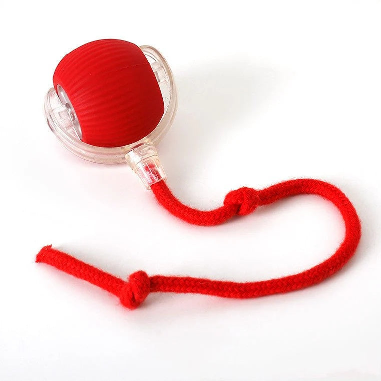 PurrPlay™Houd je kat actief bezig