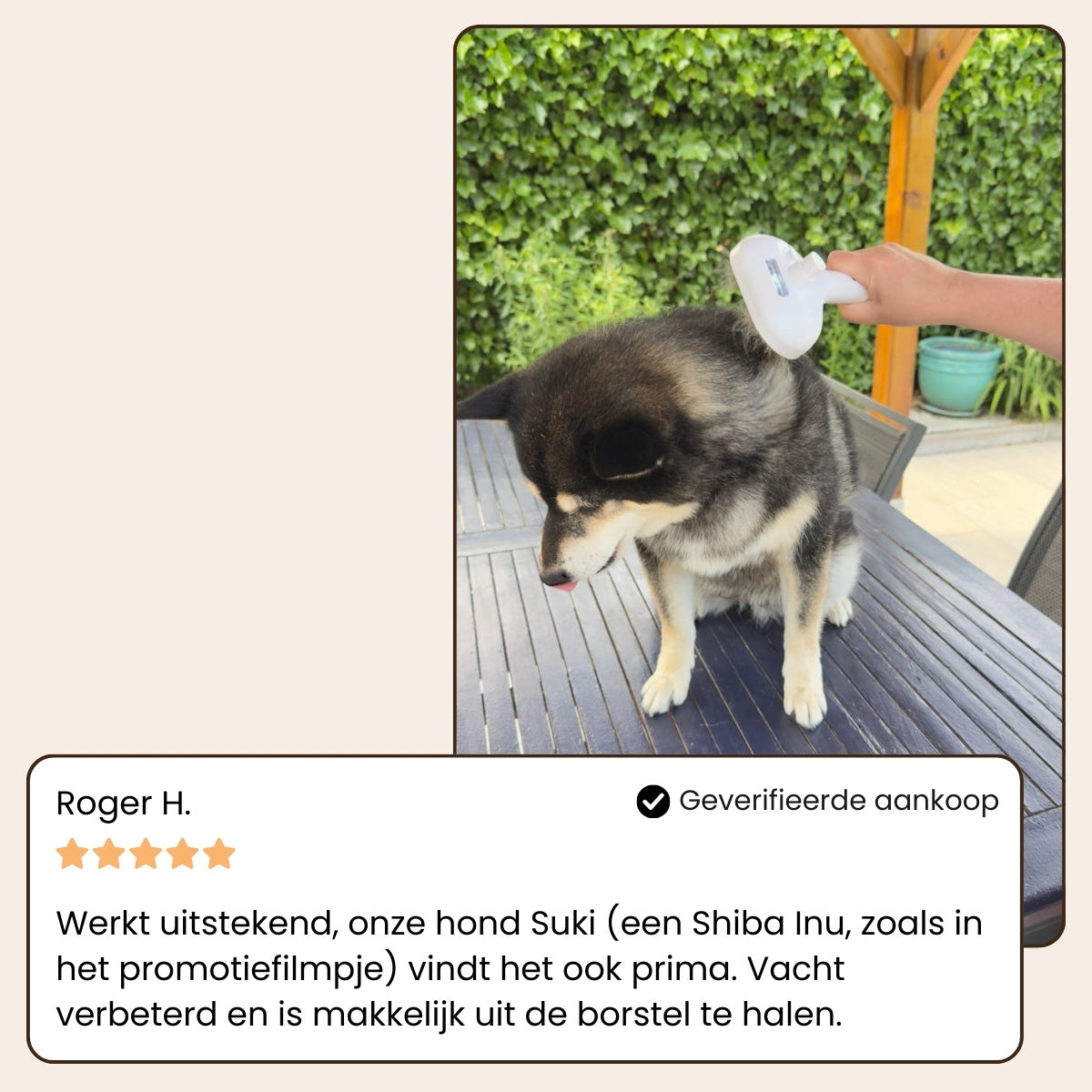 Sevelo® Steami Pro - Professionele Vachtverzorgings Borstel voor Huisdieren