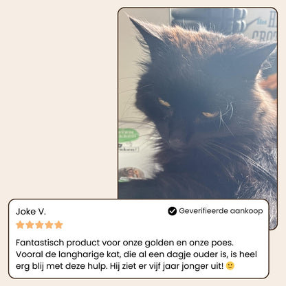 Sevelo® Steami Pro - Professionele Vachtverzorgings Borstel voor Huisdieren