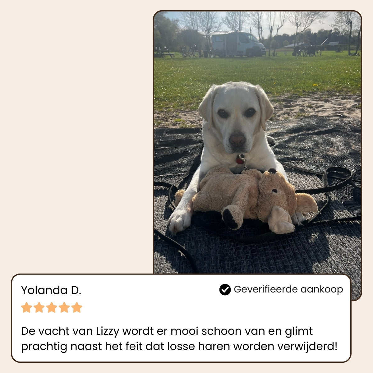Sevelo® Steami Pro - Professionele Vachtverzorgings Borstel voor Huisdieren