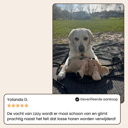 Sevelo® Steami Pro - Professionele Vachtverzorgings Borstel voor Huisdieren
