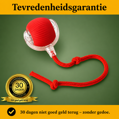 PurrPlay™Houd je kat actief bezig