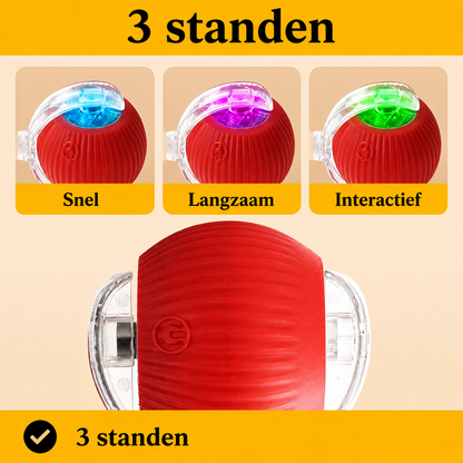PurrPlay™Houd je kat actief bezig