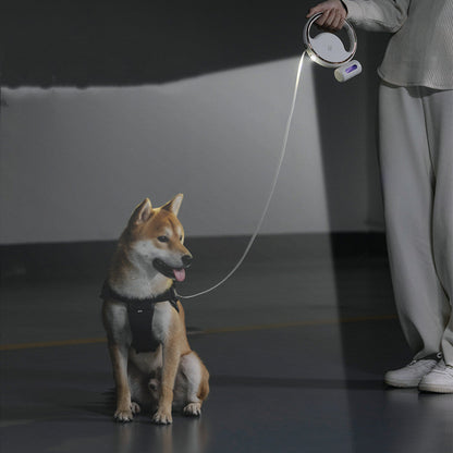 Honden-riem™ | De Slimme Oplossingen voor Elke Hondenliefhebber!