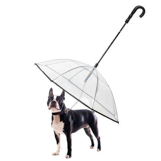hondenPlu™ | Dé Oplossing voor Regenwandelingen.
