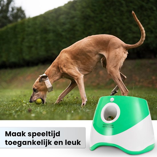 Balgooier™ | Waar Plezier en Ontwikkeling Samenkomen.